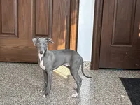 processed/9df88af3-7188-405a-9bb9-986e1332cdaa/listing/e5642afd-a192-4d80-98aa-d12c3b76908a/5720e61b-c24b-40c6-950a-690dea80cb8f