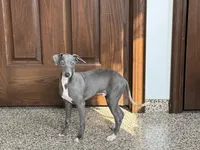 processed/9df88af3-7188-405a-9bb9-986e1332cdaa/listing/e5642afd-a192-4d80-98aa-d12c3b76908a/832d101e-9407-4b0b-b85e-5192a7621d3d