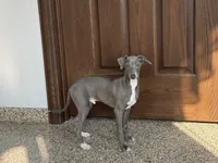 processed/9df88af3-7188-405a-9bb9-986e1332cdaa/listing/e5642afd-a192-4d80-98aa-d12c3b76908a/947aa984-d313-4a44-a989-7658f73d4e37