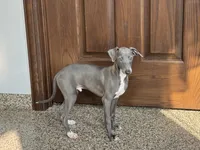 processed/9df88af3-7188-405a-9bb9-986e1332cdaa/listing/e5642afd-a192-4d80-98aa-d12c3b76908a/aeef71cd-168c-40a6-89fb-b71359c908cb