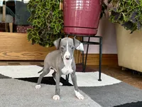 processed/9df88af3-7188-405a-9bb9-986e1332cdaa/listing/e817f1c3-011c-4258-8b9f-ce5883506921/053bcc68-ebc3-43b8-85ef-db352a1cab74