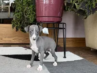 processed/9df88af3-7188-405a-9bb9-986e1332cdaa/listing/e817f1c3-011c-4258-8b9f-ce5883506921/079903b2-2dd4-412e-a0cf-5ae770e43f10