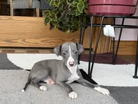 processed/9df88af3-7188-405a-9bb9-986e1332cdaa/listing/e817f1c3-011c-4258-8b9f-ce5883506921/67787b30-cd56-4658-9708-3ce9629b54fe