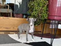 processed/9df88af3-7188-405a-9bb9-986e1332cdaa/listing/e817f1c3-011c-4258-8b9f-ce5883506921/a83ca702-a9f0-486b-b1bd-535c9d363397