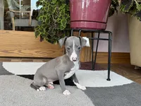 processed/9df88af3-7188-405a-9bb9-986e1332cdaa/listing/e817f1c3-011c-4258-8b9f-ce5883506921/e86dd47d-b650-4fe8-9dd9-d53ace756691