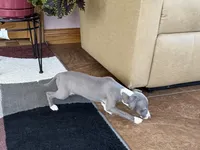 processed/9df88af3-7188-405a-9bb9-986e1332cdaa/listing/e817f1c3-011c-4258-8b9f-ce5883506921/eac4f9a6-afcd-4535-bd61-d32f7bfd5d99