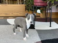 processed/9df88af3-7188-405a-9bb9-986e1332cdaa/listing/e9291e20-ee15-4b13-ab6d-869ff12b1240/1639dd32-b6c8-496d-82c4-ec06198f6649