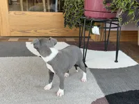 processed/9df88af3-7188-405a-9bb9-986e1332cdaa/listing/e9291e20-ee15-4b13-ab6d-869ff12b1240/53012a0b-f93f-4608-9dae-b207faf9d390