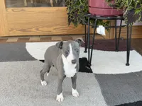 processed/9df88af3-7188-405a-9bb9-986e1332cdaa/listing/e9291e20-ee15-4b13-ab6d-869ff12b1240/9736aa5f-5937-4f47-ae4c-5caadacf8bfb