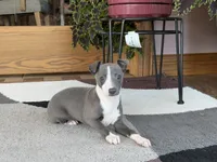 processed/9df88af3-7188-405a-9bb9-986e1332cdaa/listing/e9291e20-ee15-4b13-ab6d-869ff12b1240/c638336a-de55-4db5-815c-fd4e7cc86357