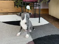 processed/9df88af3-7188-405a-9bb9-986e1332cdaa/listing/e9291e20-ee15-4b13-ab6d-869ff12b1240/f83c84a7-5151-48cf-bfeb-b475354575b7