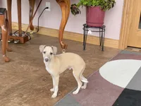 processed/9df88af3-7188-405a-9bb9-986e1332cdaa/listing/ff1edcd1-1d80-4a3f-9fba-91a8ceef986b/3e9d025d-9baa-4a75-8300-0e392b6bebb5