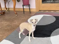 processed/9df88af3-7188-405a-9bb9-986e1332cdaa/listing/ff1edcd1-1d80-4a3f-9fba-91a8ceef986b/4c8bc544-abb0-4a7b-aeef-ebd3d6df6438