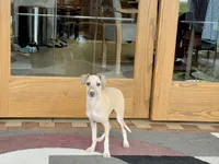 processed/9df88af3-7188-405a-9bb9-986e1332cdaa/listing/ff1edcd1-1d80-4a3f-9fba-91a8ceef986b/6716039b-e4ba-4355-a3b9-1adaed0c11b2