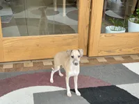 processed/9df88af3-7188-405a-9bb9-986e1332cdaa/listing/ff1edcd1-1d80-4a3f-9fba-91a8ceef986b/6c0de269-b368-482b-9652-9b3685e6feb8