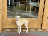 processed/9df88af3-7188-405a-9bb9-986e1332cdaa/listing/ff1edcd1-1d80-4a3f-9fba-91a8ceef986b/723b0b08-b02c-4726-b42a-19a6ce506d20