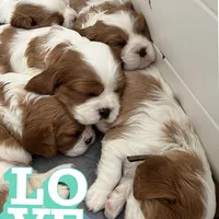 processed/9dfc66b6-9b59-4262-aef8-00da491b345f/facility/8b6b5e01-af46-43c3-b332-eb44446c99fa