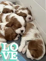 processed/9dfc66b6-9b59-4262-aef8-00da491b345f/facility/8b6b5e01-af46-43c3-b332-eb44446c99fa