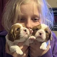 processed/9dfc66b6-9b59-4262-aef8-00da491b345f/facility/91041a6e-97a7-4d19-8f82-d66d349f6d6a