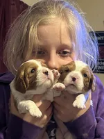 processed/9dfc66b6-9b59-4262-aef8-00da491b345f/facility/91041a6e-97a7-4d19-8f82-d66d349f6d6a