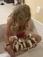 processed/9dfc66b6-9b59-4262-aef8-00da491b345f/facility/9787df6a-d6a4-418e-82ca-fa0b15f2cefb