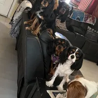 processed/9dfc66b6-9b59-4262-aef8-00da491b345f/facility/f38c29e5-c0f0-4a15-a47d-b0dca361f5a1