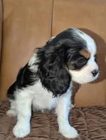 processed/9dfd8098-d03c-47eb-aa7f-0df344e9a7aa/facility/01d8d322-2465-4673-b8df-c0c8d51aa04c