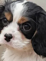 processed/9dfd8098-d03c-47eb-aa7f-0df344e9a7aa/facility/96c3fc43-e604-4015-86cf-e2147530ba12