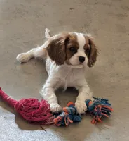 processed/9dfd8098-d03c-47eb-aa7f-0df344e9a7aa/facility/b7117137-651b-4013-8e5e-74e8a7f37d0e