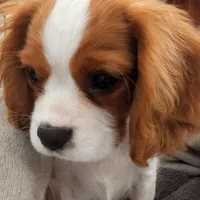 Facility photo