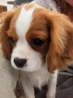 processed/9dfd8098-d03c-47eb-aa7f-0df344e9a7aa/facility/e27155a6-8977-4d47-8b90-5ca82f496920