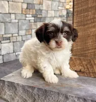 processed/9e1930ee-c261-43e6-9134-0edcfb3a4f69/listing/0c523f1b-0b1c-40d5-a930-eb791c641e24/89bd3f34-5963-4f38-a6c3-4cdf5d5e09e5