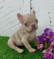 processed/9e1930ee-c261-43e6-9134-0edcfb3a4f69/listing/118da82a-20f4-4461-b10c-c4b3907e5d28/58cf453a-f326-4874-bdcb-dc75fe979933