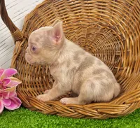 processed/9e1930ee-c261-43e6-9134-0edcfb3a4f69/listing/118da82a-20f4-4461-b10c-c4b3907e5d28/b96f318d-e859-46c4-8ee7-54f5bf49479d