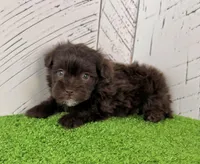 processed/9e1930ee-c261-43e6-9134-0edcfb3a4f69/listing/1841b603-4818-45dd-92d0-8ee17497bed2/4eb8b092-236b-4a45-bd1b-75e3bf67b8c7