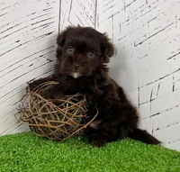 processed/9e1930ee-c261-43e6-9134-0edcfb3a4f69/listing/1841b603-4818-45dd-92d0-8ee17497bed2/815ca292-5d93-4745-9128-e70411c3930f