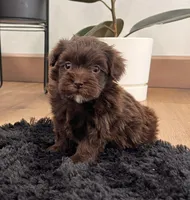 processed/9e1930ee-c261-43e6-9134-0edcfb3a4f69/listing/1841b603-4818-45dd-92d0-8ee17497bed2/c05fa7d4-89ed-437a-bace-d67e1973ede4