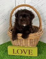 processed/9e1930ee-c261-43e6-9134-0edcfb3a4f69/listing/1841b603-4818-45dd-92d0-8ee17497bed2/e4884ca9-e5a3-4901-aa95-87b13cd19274