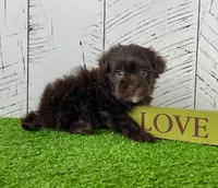 processed/9e1930ee-c261-43e6-9134-0edcfb3a4f69/listing/1841b603-4818-45dd-92d0-8ee17497bed2/f3f289d8-0ec8-424f-8398-9facf3354033