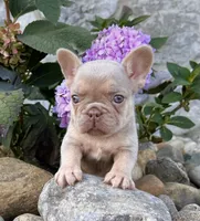 processed/9e1930ee-c261-43e6-9134-0edcfb3a4f69/listing/3b95c60c-4005-4825-a9e0-d426b57e92c2/3f69bf97-4a5c-4d12-9cc0-0d21238c22ea