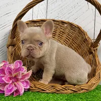 processed/9e1930ee-c261-43e6-9134-0edcfb3a4f69/listing/3b95c60c-4005-4825-a9e0-d426b57e92c2/63df249c-19c4-4fab-a12b-27c7a1445a64