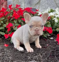 processed/9e1930ee-c261-43e6-9134-0edcfb3a4f69/listing/3b95c60c-4005-4825-a9e0-d426b57e92c2/80dcd1e3-c946-4b66-89ed-371e7fbc5c21