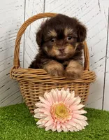 processed/9e1930ee-c261-43e6-9134-0edcfb3a4f69/listing/4369839b-caec-4eb4-88b7-d2b1a262fad3/89c17efe-5988-4e42-8a60-ec292e089dde