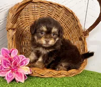 processed/9e1930ee-c261-43e6-9134-0edcfb3a4f69/listing/4369839b-caec-4eb4-88b7-d2b1a262fad3/8b7687b8-b15d-4c23-82d8-121e78198f2f