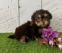 processed/9e1930ee-c261-43e6-9134-0edcfb3a4f69/listing/4369839b-caec-4eb4-88b7-d2b1a262fad3/e68c535c-fdb6-48dd-a41e-54d915c308dc