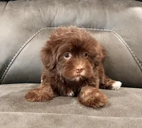 processed/9e1930ee-c261-43e6-9134-0edcfb3a4f69/listing/453dcc9c-9dd8-44a1-bd56-3f9a9675fe9f/83d70cb6-3cfd-4b1f-981c-fd3d71990f9b