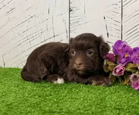 processed/9e1930ee-c261-43e6-9134-0edcfb3a4f69/listing/453dcc9c-9dd8-44a1-bd56-3f9a9675fe9f/c2d498d9-235a-43ca-bcd2-db952239ce43