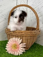 processed/9e1930ee-c261-43e6-9134-0edcfb3a4f69/listing/6cf669ec-2963-4cee-8bb1-6ea72b13200d/23f015a4-263c-44cf-8bb7-91106a2997f2