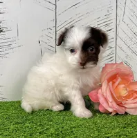 processed/9e1930ee-c261-43e6-9134-0edcfb3a4f69/listing/6cf669ec-2963-4cee-8bb1-6ea72b13200d/2f981fdb-74e3-4b74-9eff-121aaf4ec0bc