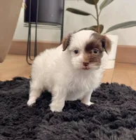 processed/9e1930ee-c261-43e6-9134-0edcfb3a4f69/listing/6cf669ec-2963-4cee-8bb1-6ea72b13200d/694ad036-8ba8-4fb8-a22f-d6df604a0809